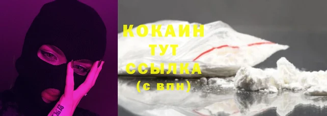 трава Магас