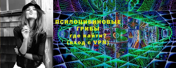 трава Магас