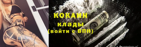 трава Магас