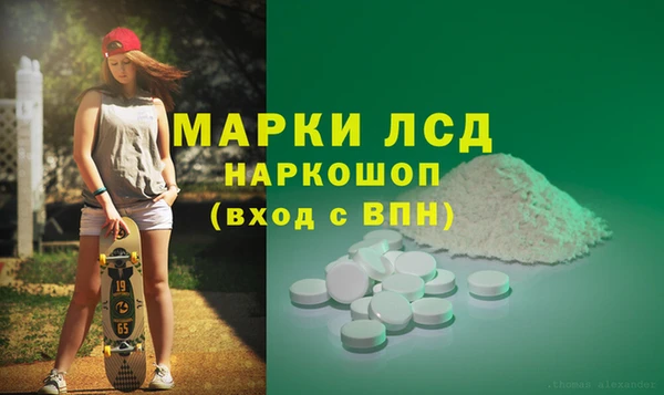 трава Магас